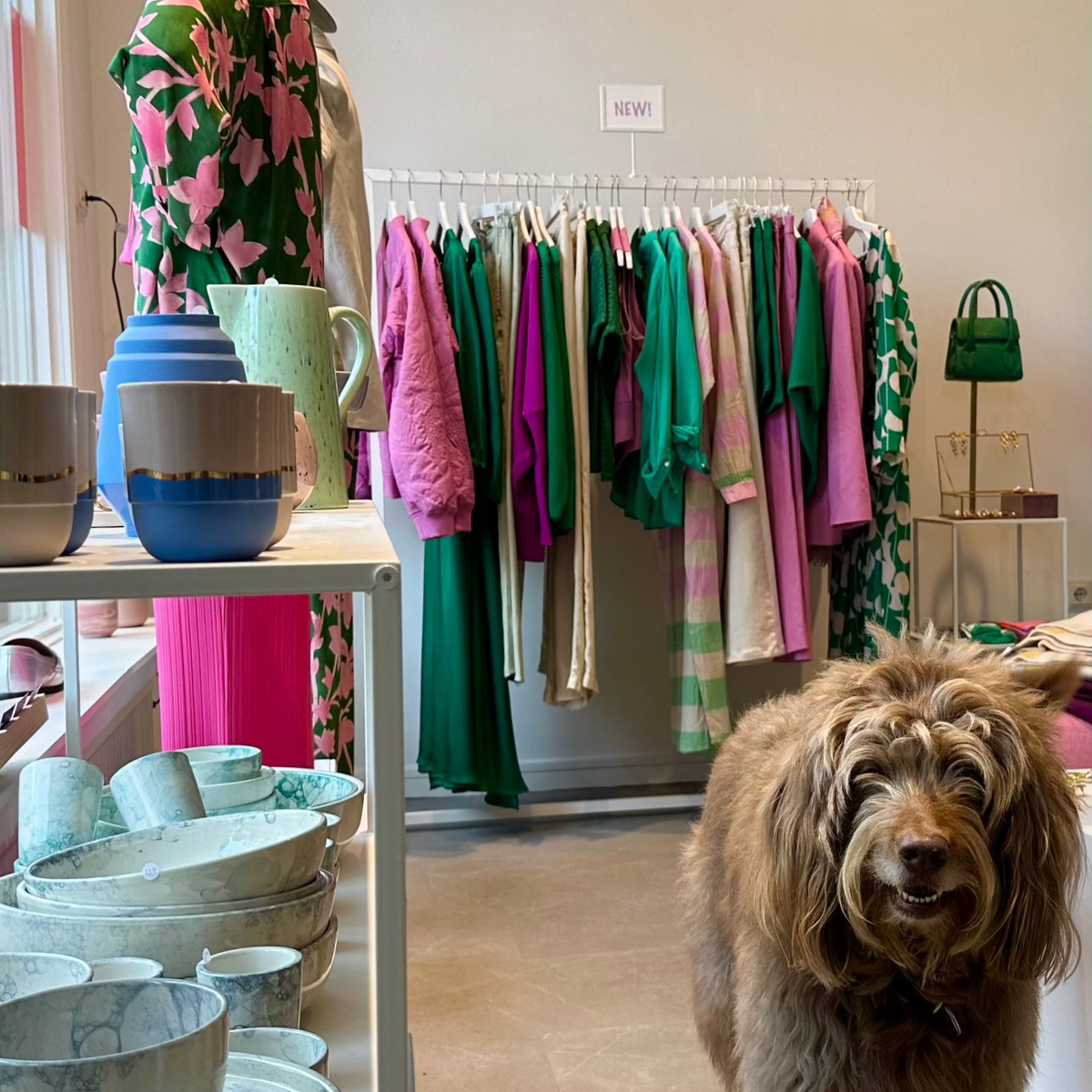 Duurzame_Kledingwinkel_Amsterdam Interieur-hond